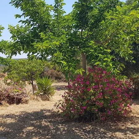 Lourantianika House *